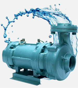 Megvil%20Pumps